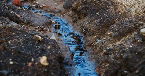 De Waerangse Oorlog: Een Conflict Over Landbouwgrond en de Nasleep van de Balhae-Val